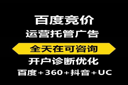 某行业巨头背后的SEM代运营托管公司